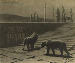 Dark Leader : Immortal Land